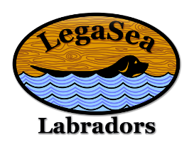 LegaSeaLabs