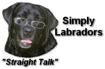 Simply Labradors